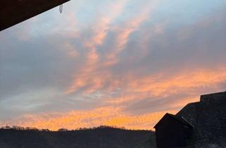 Wohnung mieten in 54498 Piesport, Suche Nachmieter