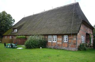 Wohnung mieten in Alte Dorfstraße, 19217 Thandorf, Ansprechende 2-Zimmer-Wohnung in Thandorf