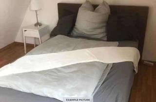 WG-Zimmer mieten in Große Rittergasse 52, 60594 Sachsenhausen, Zimmer Zimmer in der Große Rittergasse