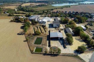 Grundstück zu kaufen in 04668 Grimma, Gr. GS mit Bestand aus Hallen, Garagen, Büros, Sozialräumen u.v.m. (ca. 13.000 m² NF), 89 SP