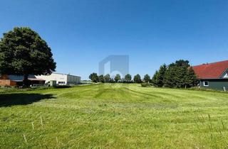 Grundstück zu kaufen in 19246 Zarrentin, LANDIDYLLE AM SCHAALSEE