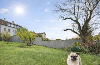 Doppelhaushälfte kaufen in 42781 Haan, Der Sommer kann kommen