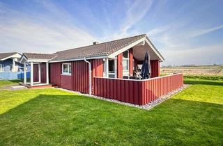 Haus kaufen in 25764 Wesselburenerkoog, Charmantes Ferienhaus direkt am Nordseedeich