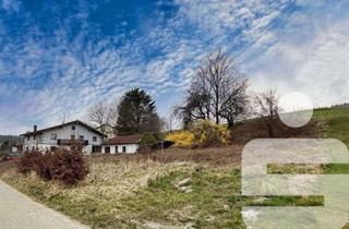 Haus kaufen in 84567 Erlbach, Digitales Angebotsverfahren - Sanierung oder Neubau