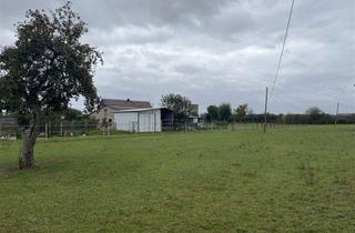 Grundstück zu kaufen in 04886 Nichtewitz, 1.090 m² Baureifes Land in 04886 Nichtewitz