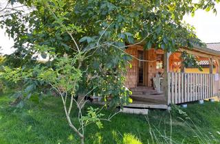 Haus mieten in 79875 Dachsberg, Tiny House zu vermieten im Südschwarzwald