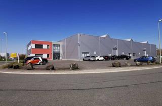 Büro zu mieten in 57234 Wilnsdorf, TOP Standort Industriegebiet Wilnsdorf! Logistik/Produktionsstandort mit Bürogebäude und Freifläche