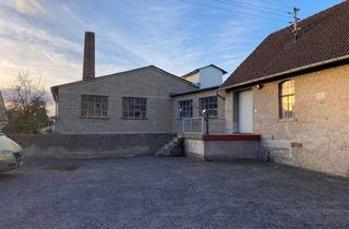 Gewerbeimmobilie mieten in Börsenweg, 56235 Ransbach-Baumbach, Lagerfläche zur Miete in Ransbach-Baumbach