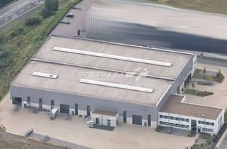 Büro zu mieten in 35708 Haiger, FREIRAUM4 +++ Moderne Industriehalle mit Büro im Top-Gewerbestandort Haiger-Kalteiche