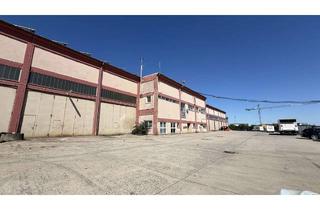 Gewerbeimmobilie mieten in 95463 Bindlach, Teilbare Hallen- und Lagerflächen zur Miete am Bindlacher Berg