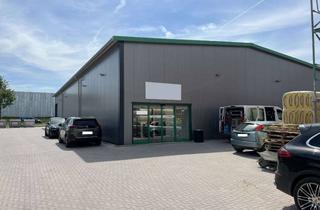 Büro zu mieten in 38448 Vorsfelde, Halle, Gewerbefläche, Verkaufsfläche mit Büro