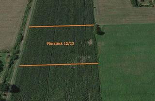 Grundstück zu kaufen in 26532 Großheide, ***7.657 m² Ackerland in Großheide/Berumerfehn***PROVISIONSFREI