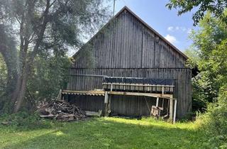 Grundstück zu kaufen in 86949 Windach, Einmalige Gelegenheit! Grundstück im Fünfseengebiet!