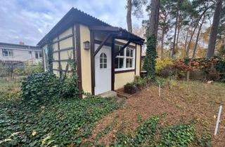 Grundstück zu kaufen in Rädlerwald, 15831 Blankenfelde-Mahlow, Attraktives Gartengrundstück sucht neuen Besitzer in Mahlow