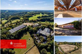 Immobilie kaufen in 51580 Reichshof, Exklusive Reitanlage Sommerlade!