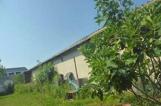 Lager kaufen in 55457 Horrweiler, GELEGENHEIT - WEINGUT - eine Hofreite mit 2 Häusern und Winzerhalle - in guter Lage von Horrweiler!