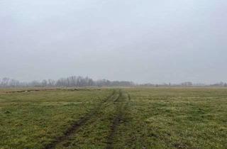 Gewerbeimmobilie kaufen in O. Straße o. Nr., 04924 Bad Liebenwerda, Auktion - Landwirtschafts-/ Grünlandfläche in der Kurstadt Bad Liebenwerda