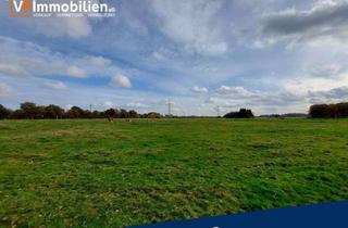 Gewerbeimmobilie kaufen in 24790 Schülldorf, Interessante landwirtschaftliche Grünfläche mit geringem Waldanteil als bodenständige Kapitalanlage