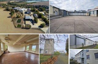  in 04668 Grimma, GROß-PÄCHTER ab 1,00 €/m² gesucht! GS mit ca. 10.900 m² Bestand - Untervermietung mögl.