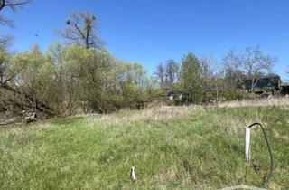 Grundstück zu kaufen in 16727 Oberkrämer, Grundstück in Oberkrämer: Ort der Ruhe und Erholung für Ihr Traumhaus!