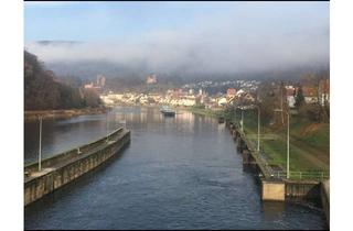 Wohnung mieten in 69239 Neckarsteinach, Bahnhofstraße ???, 69239 Neckarsteinach