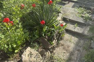 Mehrfamilienhaus kaufen in 65527 Niedernhausen, * Kapitalanlage * Sanierungsbedürftiges Mehrfamilienhaus * in Niedernhausen-Niederseelbach Festpreis