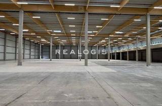 Gewerbeimmobilie mieten in 04509 Krostitz, Krostitz | ca. 23.400 m² Neubaulogistikhalle | WGK III