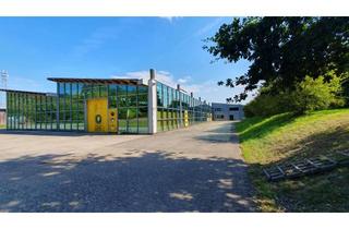 Gewerbeimmobilie kaufen in 32107 Bad Salzuflen, helle u. schicke Gewerbehallen 5500 m² überdachte Fläche an der A 2 Bad Salzuflen Bj. 1978-1995