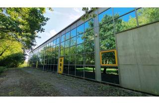 Gewerbeimmobilie kaufen in 32107 Bad Salzuflen, helle u. schicke Gewerbehallen 5500 m² überdachte Fläche an der A 2 Bad Salzuflen Bj. 1978-1995