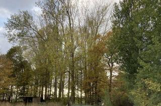 Grundstück zu kaufen in 30966 Hemmingen, Naturverbundenes Rückzugsarsenal