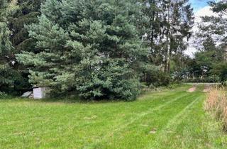 Grundstück zu kaufen in 17429 Benz, Benz auf Usedom, Baugrundstück mit großen Lagerhallen