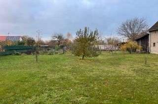 Grundstück zu kaufen in 03238 Massen, „1.144 m² Baugrundstück mit vielen Möglichkeiten in Massen“