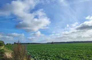 Grundstück zu kaufen in 18195 Cammin, Ihr Traumgrundstück in Cammin – lichtdurchflutete Wohnträume warten