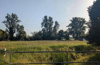 Grundstück zu kaufen in 14715 Märkisch Luch, Großes Baugrundstück in idyllischer Lage von Buschow