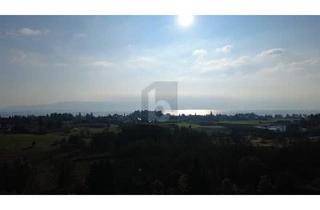 Wohnung kaufen in 88131 Bodolz, BEGEHRTE LAGE, HOCHWERTIG, MIT TOLLER SICHT