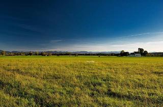 Immobilie kaufen in 86500 Kutzenhausen, Landwirtschaftliche Fläche/ Grünland in Kutzenhausen / Buch