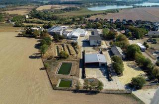 Lager mieten in 04668 Grimma, GLOBAL-PÄCHTER gesucht! Ca. 32.900 m² GS mit Bestand (ca. 13.000 m² NF) - Untervermietung möglich!