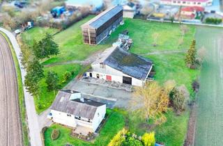 Lager kaufen in 67360 Lingenfeld, Große Landwirtschaftsfläche mit gewerblichem Zukunftspotenzial