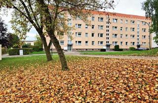 Wohnung mieten in Richard-Jaeckel-Straße 1-3, 06268 Querfurt, 3 Zimmer Wohnung mit Balkon in Querfurt