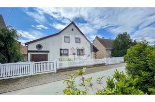 Einfamilienhaus kaufen in 04931 Mühlberg, Tischlerei, Lager & PV-Anlage, integrierte Absauganlage mit Brikettierung - Bonus: Einfamilienhaus