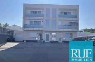 Mehrfamilienhaus kaufen in 75223 Niefern-Öschelbronn, Moderne Kapitalanlage: Neuwertiges Mehrfamilienhaus mit 6 Einheiten, Wärmepumpe & Top Ausstattung.