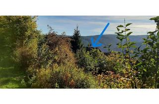 Einfamilienhaus kaufen in 79822 Titisee-Neustadt, Einfamilienhaus mit ELW in Aussichtslage direkt am Wald