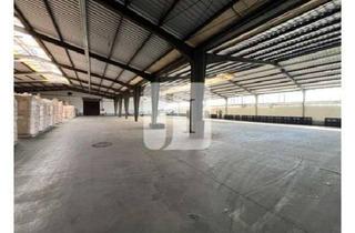 Büro zu mieten in 21423 Winsen, ab ca. 615 m² - ca. 4.995 m² Lagerflächen, ab ca. 30 m² Büro sowie bis zu ca. 400 m² Freiflächen