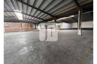 Büro zu mieten in 21423 Winsen, ca. 1.720 m² Lager-/Fertigungsflächen sowie ca. 115 m² Büro-/Sozialflächen