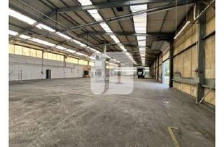 Büro zu mieten in 29525 Uelzen, ab ca. 1.050 m² - ca. 2.524 m² Hallenflächen, ca. 369 m² Büro sowie ca. 7.000 m² Freiflächen