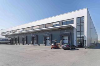 Büro zu mieten in Nennhauser Damm 180, 13591 Staaken, 617 m² Hallenfläche mit 686 m² Büro nach Absprache **provisionsfrei** zu vermieten