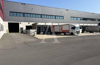 Gewerbeimmobilie mieten in 40764 Langenfeld, MODERNE LOGISTIKHALLE | MIETE | BIS 10,50 M UKB | RAMPE & EBENERDIG | ANGERMANN NRW