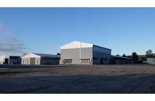 Gewerbeimmobilie kaufen in Neuendorf 23a, 16248 Oderberg, 4 Lagerhallen und Bürogebäude mit Freifläche