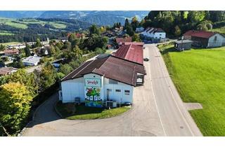 Gewerbeimmobilie kaufen in 88179 Oberreute, SOLIDES SOLITÄROBJEKT - LEBENSMITTELPRODUKTION