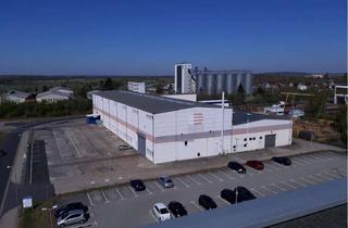 Gewerbeimmobilie mieten in 04668 Grimma, Produktionsstandort mit guten Potential
